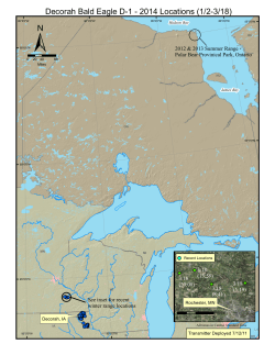 Decorah Bald Eagle D-1 - 2014 Locations (1/2