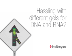 Hassling with different gels for DNA and RNA?