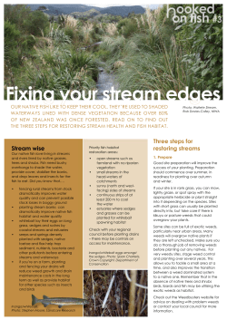 Fixing your stream edges