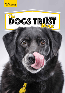 annual accounts 2015