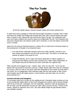 The Fur Trade - hrsbstaff.ednet.ns.ca