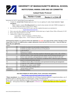 university of massachusetts medical school