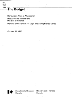 The Budget 1980
