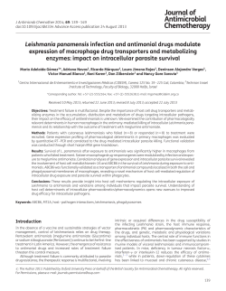 Leishmania panamensis infection and antimonial
