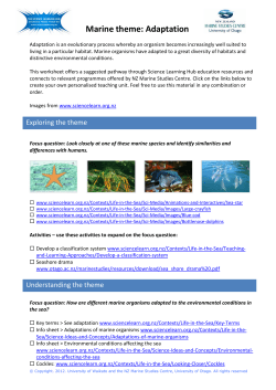 Marine theme: Adaptation