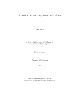 A model of the ocean migration of Pacific salmon