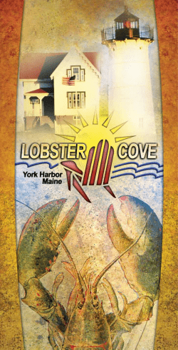 Lobster Cove Menu