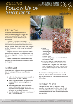 Follow up of shot deer