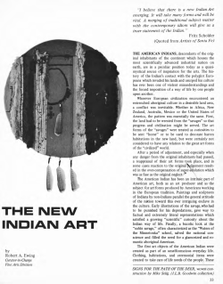the new indian art - El Palacio Magazine