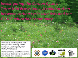 Investigating the Carbon Cycle in Terrestrial Ecosystems: A