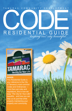 keeping our city beautiful