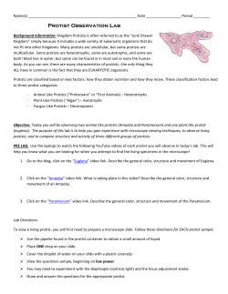 Protist Observation Lab