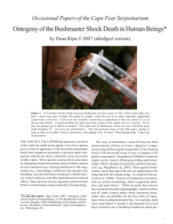 Ontogeny of the Bushmaster Shock Death in Human Beings*