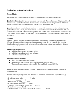 2.20_Qualitative and Quantitative Data