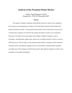 Analysis of the Premium Denim Market