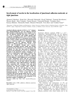 Involvement of nectin in the localization of junctional