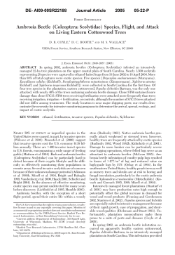 Ambrosia Beetle (Coleoptera: Scolytidae) Species, Flight