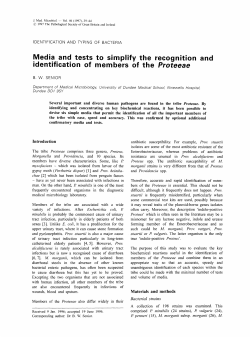 Media and tests identification of to simplify the recognition and