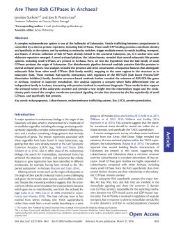 Are There Rab GTPases in Archaea?