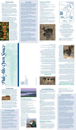 Palo Alto Open Space Trail Map