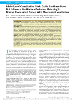Inhibition of Constitutive Nitric Oxide Synthase Does Not Influence