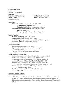 Curriculum Vita - Luther College