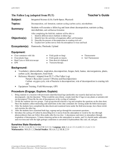 Station #2: Urban Ecosystem Ingredients