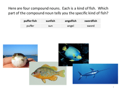 IRBE 11 lesson plan 802