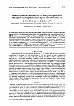 Purification and Some Properties of Two Principal