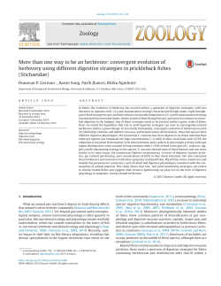 More than one way to be an herbivore: convergent evolution of