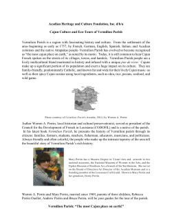 Cajun Culture and Eco-Tours of Vermilion Parish