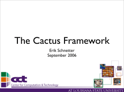 The Cactus Environment