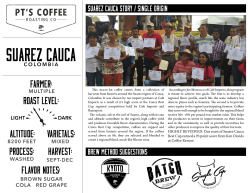 suarez cauca - PT`s Coffee Roasting Co.