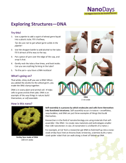 Exploring Structures&mdash;DNA