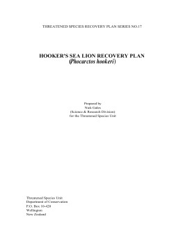 Hooker`s sea lion recovery plan