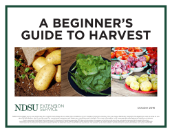 A Beginner`s Guide to Harvest