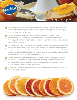 Orange Foodservice SellSheet Downloadable