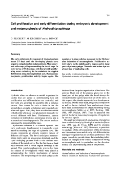 Cell proliferation and early differentiation during embryonic