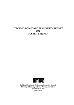 techno economic feasibility report on flyash bricks