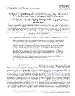 Evolution of oil-producing trichomes in Sisyrinchium (Iridaceae