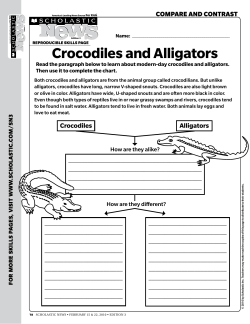 Crocodiles and Alligators
