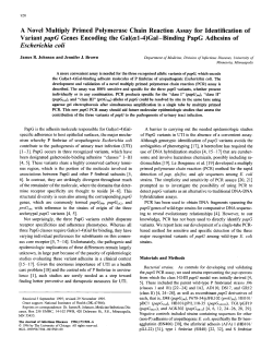 A Novel Multiply Primed Polymerase Chain Reaction Assay for