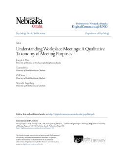 Understanding Workplace Meetings: A