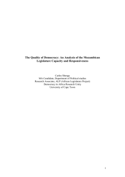 The Quality of Democracy: An Institutional Analysis of the