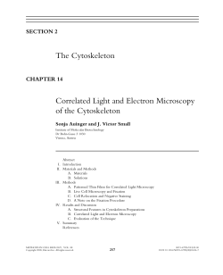 The Cytoskeleton Correlated Light and Electron Microscopy of the