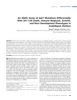 An Allelic Series of bak1 Mutations Differentially Alter bir1
