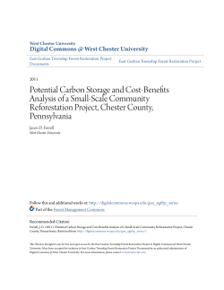 Potential Carbon Storage and Cost-Benefits Analysis of a Small