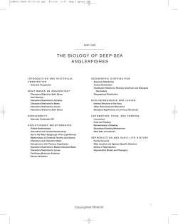 the biology of deep-sea anglerfishes