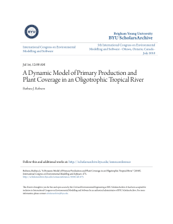 A Dynamic Model of Primary Production and Plant Coverage in an
