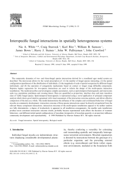 Interspecific fungal interactions in spatially